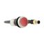 Illuminated pushbutton actuator, Flat, momentary, 1 NC, Cable (black) with M12A plug, 4 pole, 0.2 m, LED Red, red, Blank, 24 V AC/DC, Bezel: titanium thumbnail 16
