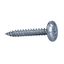 Thorsman - TSC 4.2x31 - screw - large thin head - set of 100 thumbnail 2