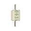 Fuse-link NH2 aM 690VAC 100A live tags Double indicator thumbnail 1