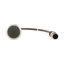 Pushbutton, Flat, momentary, 1 NC, Cable (black) with M12A plug, 4 pole, 0.2 m, black, Blank, Bezel: titanium thumbnail 8