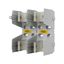 Fuse-block, low voltage, 400 A, AC 600 V, J, 2P, UL thumbnail 17