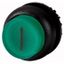 Illuminated pushbutton actuator, RMQ-Titan, Extended, maintained, green, inscribed, Bezel: black thumbnail 1