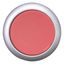 Pushbutton, RMQ-Titan, Flat, maintained, red, Blank, Bezel: titanium thumbnail 10