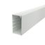 WDK60110LGR Wall trunking system with base perforation 60x110x2000 thumbnail 1