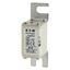 Fuse-link, high speed, 100 A, AC 690 V, DIN 00, 30 x 51 x 100 mm, aR, DIN, IEC, single indicator thumbnail 20