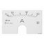 Scale-plate for modular amperemeter 60A/5A thumbnail 1