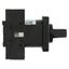 On-Off switch, P1, 40 A, flush mounting, 3 pole, with black thumb grip and front plate thumbnail 12