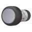 Illuminated pushbutton actuator, Flat, momentary, 1 N/O, Screw connection, LED white, White, Blank, 120 V AC, Bezel: black thumbnail 11