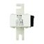 Fuse-link, high speed, 500 A, AC 690 V, DIN 3, 76 x 92 x 139 mm, aR, DIN, IEC, single indicator thumbnail 14