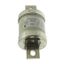 Fuse-link, low voltage, 250 A, AC 600 V, DC 250 V, HRCII-MISC, 59 x 136 mm, gL/gG, CSA thumbnail 2