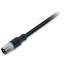 Sensor/Actuator cable M12A plug straight 4-pole thumbnail 3