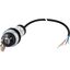 Key-operated actuator, RMQ compact solution, momentary, 2 NC, Cable (black) with non-terminated end, 4 pole, 3.5 m, 3 positions, MS1, Bezel: titanium thumbnail 3