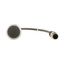 Pushbutton, Flat, momentary, 1 NC, Cable (black) with M12A plug, 4 pole, 0.2 m, black, Blank, Bezel: titanium thumbnail 7