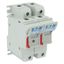 Fuse-holder, low voltage, 50 A, AC 690 V, 14 x 51 mm, 1P, IEC, with indicator thumbnail 32