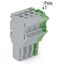 1-conductor female connector Push-in CAGE CLAMP® 4 mm² gray, green-yel thumbnail 2