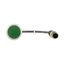 Pushbutton, Flat, momentary, 1 N/O, Cable (black) with M12A plug, 4 pole, 1 m, green, Blank, Bezel: titanium thumbnail 7
