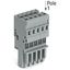1-conductor female connector CAGE CLAMP® 4 mm² gray thumbnail 3