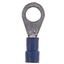 Insulated ring connector terminal M6 blue, 1.5-2.5mmý thumbnail 1