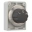 Changeover switch, RMQ-Titan, with rotary head, momentary, 3 positions, inscribed, Front ring stainless steel thumbnail 13