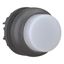 Illuminated pushbutton actuator, RMQ-Titan, Extended, momentary, White, Blank, Bezel: black thumbnail 8