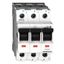 Main Load-Break Switch (Isolator) 80A, 3-pole thumbnail 1