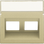 Central plate data 2x RJ oblique output, gold coated thumbnail 1