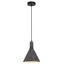 Pendant Light  Black Dot thumbnail 1