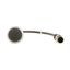 Pushbutton, flat, maintained, black, 1 N/C, with cable 0.5m and M12A plug thumbnail 7