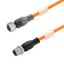 Sensor-actuator Cable (assembled), M12 / M12, Number of poles: 4, Cabl thumbnail 1