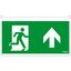 Exiway Smartled - 30m - ISO pictograms for Vetrosignal - 5 pictos thumbnail 1