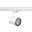 Calido Clickbeam Maxi D110, 38 / 38 W, 3500 / 3700 lm, 830, white, on/ thumbnail 2