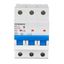 Miniature Circuit Breaker (MCB) AMPARO 6kA, B 6A, 3-pole thumbnail 5