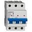 Miniature Circuit Breaker (MCB) AMPARO 10kA, B 50A, 3-pole thumbnail 8