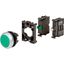 Illuminated pushbutton actuator, RMQ-Titan, flush, momentary, green, Blister pack for hanging thumbnail 3