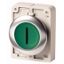 Illuminated pushbutton actuator, RMQ-Titan, flat, maintained, green, inscribed, Front ring stainless steel thumbnail 1