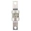 Fuse-link, low voltage, AC 415 V, BS88, 31 x 112 mm, gM, BS thumbnail 8