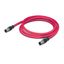 sercos cable M12D plug straight M12D plug straight red thumbnail 1