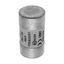 House service fuse-link, LV, 40 A, AC 415 V, BS system C type II, 23 x 57 mm, gL/gG, BS thumbnail 19