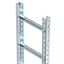 SLM50C40F 40 FT Vertical ladder rung distance 300 mm 400x3000mm thumbnail 1
