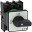 On-Off switch, P1, 32 A, flush mounting, 3 pole, with black thumb grip and front plate thumbnail 36