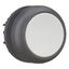 Pushbutton, RMQ-Titan, Flat, momentary, gray, Blank, Bezel: black thumbnail 7