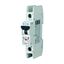 Miniature circuit breaker (MCB), 50 A, 1p, characteristic: C, NA thumbnail 6