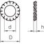 SWS M12 G Serrated washer  M12 thumbnail 2