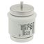 Fuse-link, low voltage, 125 A, AC 500 V, D5, 56 x 46 mm, gL/gG, DIN, IEC, time-delay thumbnail 12