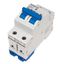 Miniature Circuit Breaker (MCB) AMPARO 10kA, D 25A, 2-pole thumbnail 4