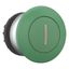 Mushroom actuator, RMQ-Titan, Mushroom, momentary, Mushroom green, green, inscribed, Bezel: titanium thumbnail 7