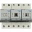 Fuse switch-disconnector, LPC, 25 A, service distribution board mounting, 3 pole, DII thumbnail 15