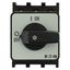 On-Off switch, P1, 40 A, centre mounting, 3 pole, with black thumb grip and front plate thumbnail 10