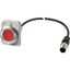 Pushbutton, Flat, maintained, 1 NC, Cable (black) with M12A plug, 4 pole, 1 m, red, Blank, Metal bezel thumbnail 4