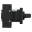 On-Off switch, P1, 40 A, flush mounting, 3 pole + N, with black thumb grip and front plate thumbnail 14